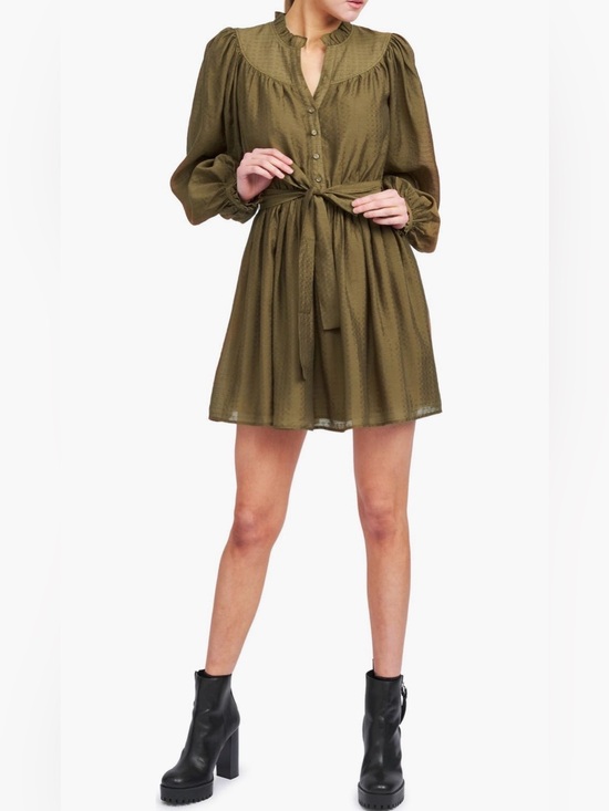 En Saison Dresses & Skirts - ❤️ En Saison Bree Olive mini dress.